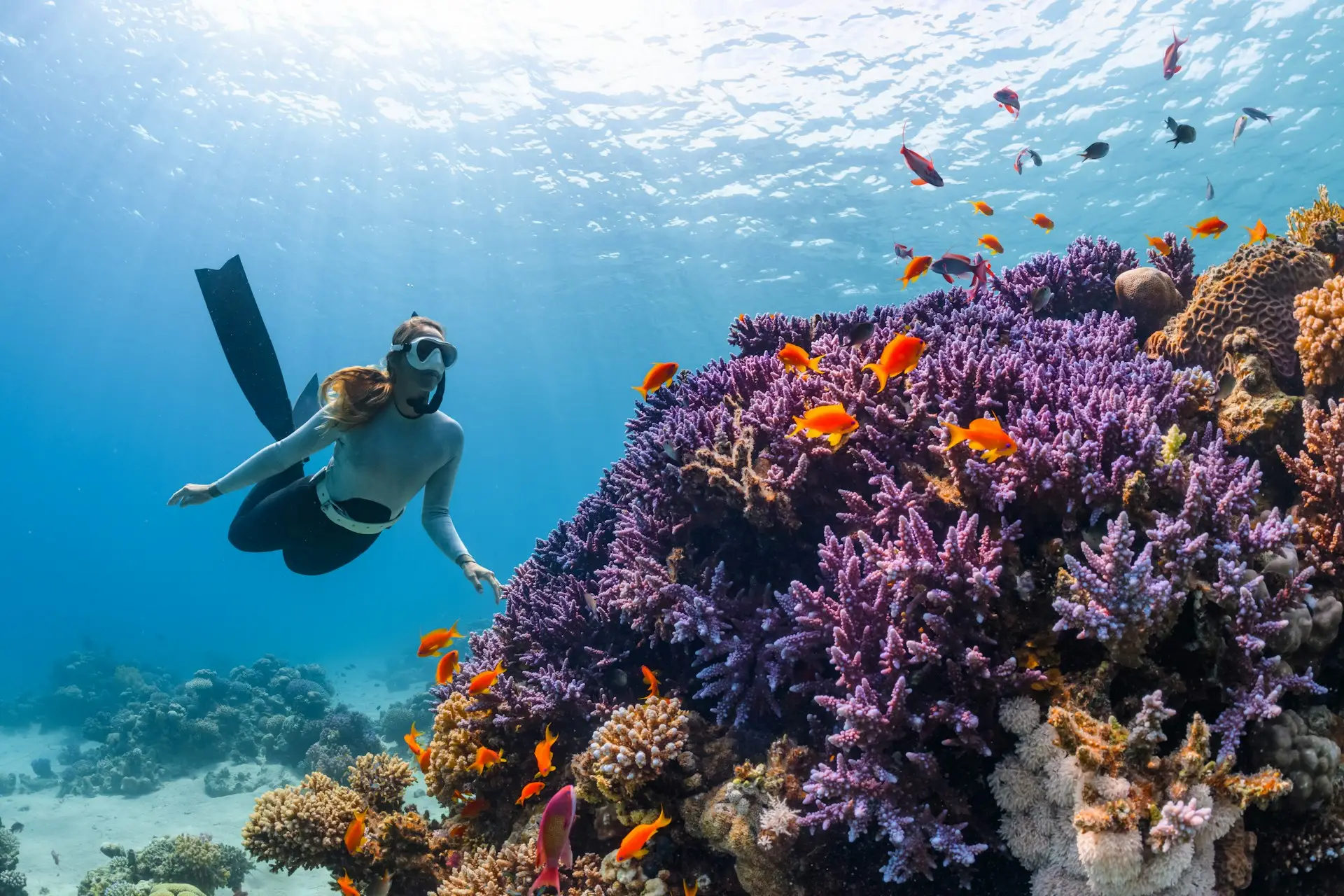 Similan øerne