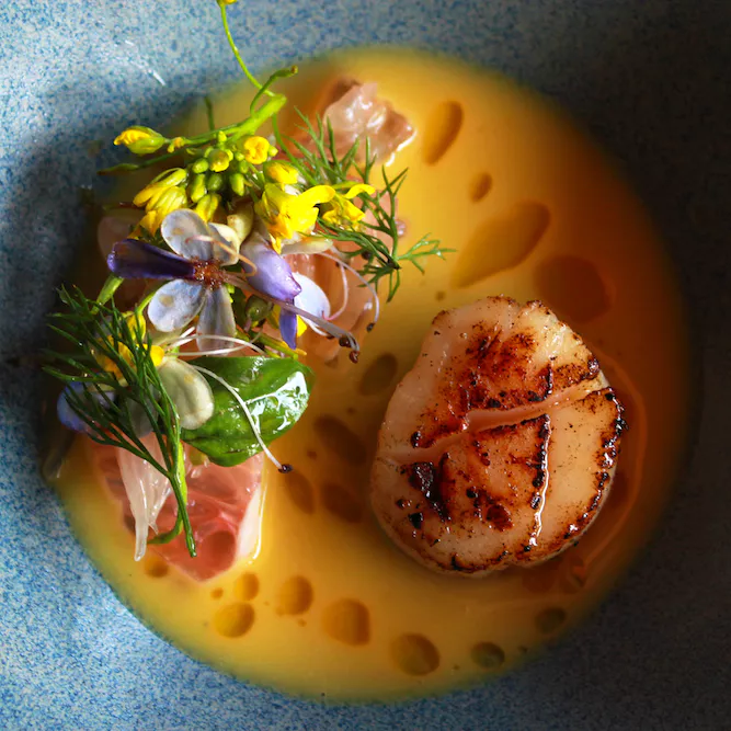 Surf & Turf by Soul Kitchen – moderne bistro med Michelin-anbefaling