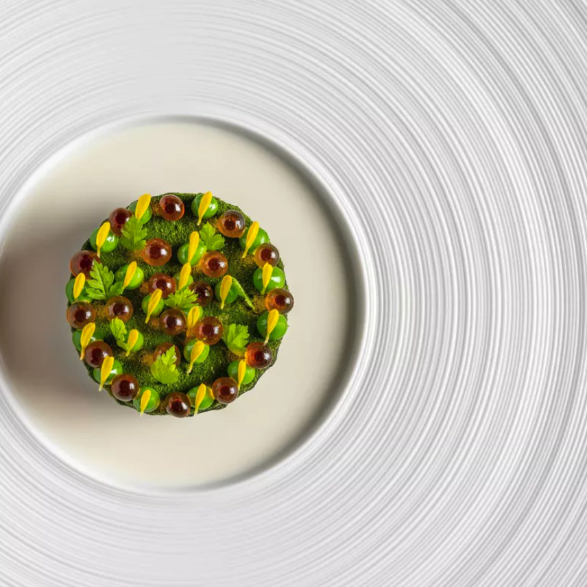 Sühring – Tysk gastronomi i verdensklasse