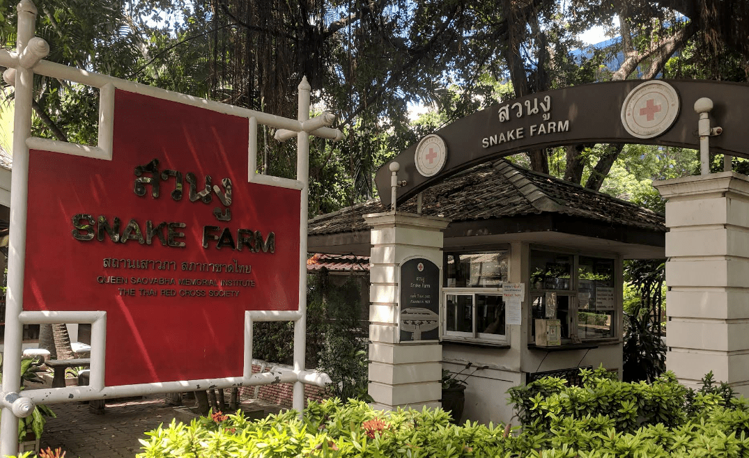 Snake Farm Bangkok – Slanger, viden og fascinerende demonstrationer